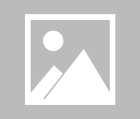 kaiyun入口-Scout领军塞尔维亚电竞队，规则更新下爆冷胜出，全球热议风暴！规则更新下的爆冷胜利！Scout领军塞尔维亚电竞队引发全球热议风暴